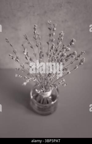 Handwerkliches Dekor aus getrocknetem Lavendel in einer Glasvase. Zarte Blüten. Trockener Lavendel. Stilvolle Einrichtung. Inneneinrichtung. Innenausbau. Stockfoto