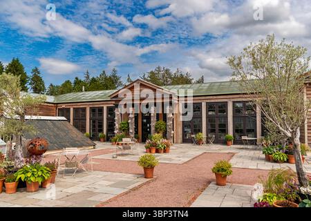 Gordon Castle Gardens Fochabers Scotland das Restaurant und Blumen und Sträucher in vielen Töpfen Stockfoto