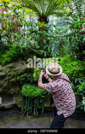 Ein Tourist, der eine Blume im Orchideengarten im Botanischen Garten von Singapur fotografiert Stockfoto