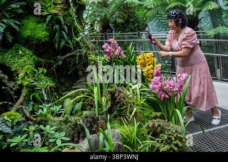 Ein Tourist, der Fotos im Orchideengarten im Botanischen Garten von Singapur macht Stockfoto