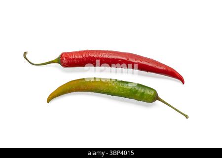 Zwei Chilischoten, eine rote und eine grüne, isoliert auf weißem Hintergrund. Ihre glänzende Oberfläche ist mit Süßwassertröpfchen bedeckt. Stockfoto