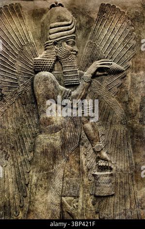 Technischer Segen Neo Assyrischer Palast von Sargon II 721-705 v. Chr. Khorsabad altes Dur Sharrukin Assyrien Irak Louvre, Paris. Stockfoto