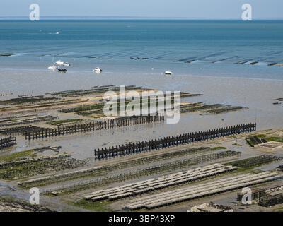 Luftaufnahme von Austernbetten bei Ebbe in Cancale, Bretagne, Frankreich. Traditionelle Muschelzuchtstrukturen entlang des Atlantiks. Stockfoto