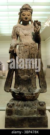 Eine Fotografie einer imposanten Skulptur von Guanyin, einem buddhistischen Bodhisattva des Mitgefühls, aus der späten Nördlichen Zhou- oder frühen Sui-Dynastie. Aus Xian, Provinz Shaanxi, China. 580 CE Stockfoto