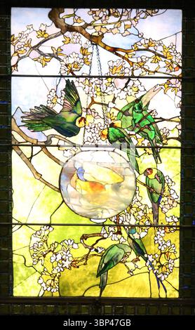 Ein Foto einer Buntglasscheibe mit dem Titel „Sittichs and Goldfish Bowl“ von Louis Comfort Tiffany. Tiffany Glass bezieht sich auf die vielen und vielfältigen Glasarten, die von 1878 bis 1929?1930 in den Tiffany Studios in New York City von Louis Comfort Tiffany und einem Team von anderen Designern entwickelt und hergestellt wurden, darunter Clara Driscoll, Agnes F. Northrop und Frederick Wilson. Stockfoto