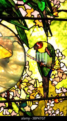 Ein Foto eines Details aus der „Sittiche and Goldfish Bowl“, einer Buntglasscheibe von Louis Comfort Tiffany. Tiffany Glass bezieht sich auf die vielen und vielfältigen Glasarten, die von 1878 bis 1929?1930 in den Tiffany Studios in New York City von Louis Comfort Tiffany und einem Team von anderen Designern entwickelt und hergestellt wurden, darunter Clara Driscoll, Agnes F. Northrop und Frederick Wilson. Stockfoto
