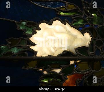 Ein Foto eines Details aus einer Tiffany-Glasplatte mit leuchtender weißer Blume und Laub auf blauem Hintergrund. Tiffany Glass bezieht sich auf die vielen und vielfältigen Glasarten, die von 1878 bis 1929?1930 in den Tiffany Studios in New York City von Louis Comfort Tiffany und einem Team von anderen Designern entwickelt und hergestellt wurden, darunter Clara Driscoll, Agnes F. Northrop und Frederick Wilson. Stockfoto
