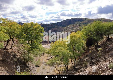 Marshal Antonio José de Sucre Hängebrücke, Fußgängerbrücke über den Pilcomayo in Bolivien Stockfoto