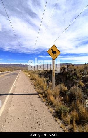 Ein Schild zum Überqueren des Lama lama lama auf der Straße in Bolivien Stockfoto