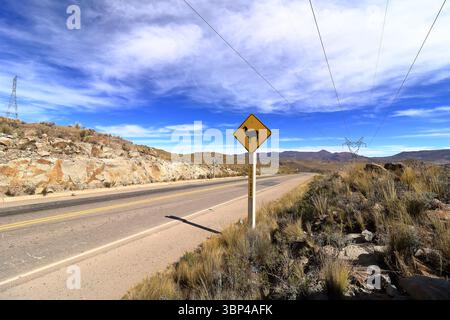 Ein Schild zum Überqueren des Lama lama lama auf der Straße in Bolivien Stockfoto