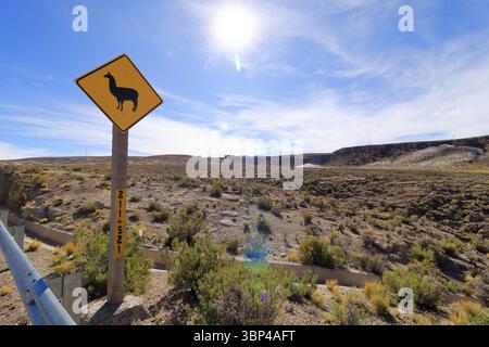 Ein Schild zum Überqueren des Lama lama lama auf der Straße in Bolivien Stockfoto