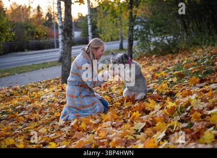 Lächelnde Frau spielt mit ihrem Hund im Herbstpark mit bunten gefallenen Blättern Stockfoto
