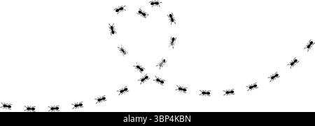 Silhouetten von Ameisen, die in ordentlichen Linien marschieren, Teamwork und Organisation zeigen, Ant Trail Illustration - Black Line ANTS Design Stock Vektor