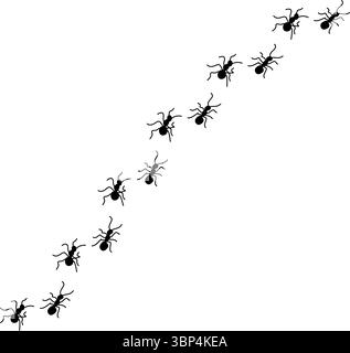 Silhouetten von Ameisen, die in ordentlichen Linien marschieren, Teamwork und Organisation zeigen, Ant Trail Illustration - Black Line ANTS Design Stock Vektor