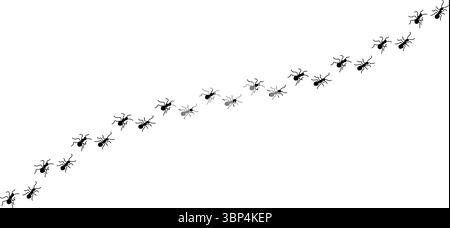 Silhouetten von Ameisen, die in ordentlichen Linien marschieren, Teamwork und Organisation zeigen, Ant Trail Illustration - Black Line ANTS Design Stock Vektor