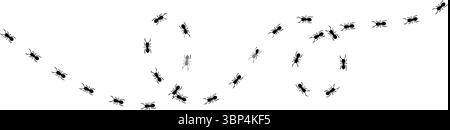 Silhouetten von Ameisen, die in ordentlichen Linien marschieren, Teamwork und Organisation zeigen, Ant Trail Illustration - Black Line ANTS Design Stock Vektor
