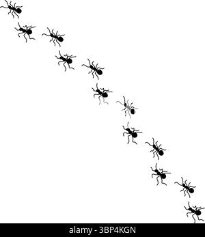 Silhouetten von Ameisen, die in ordentlichen Linien marschieren, Teamwork und Organisation zeigen, Ant Trail Illustration - Black Line ANTS Design Stock Vektor