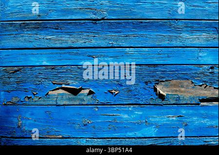 Nahaufnahme der verwitterten blau lackierten Holzdielen, die die natürliche Holzmaserung unter der abgebrochenen Farbe freilegen und eine strukturierte und rustikale Kulisse schaffen Stockfoto