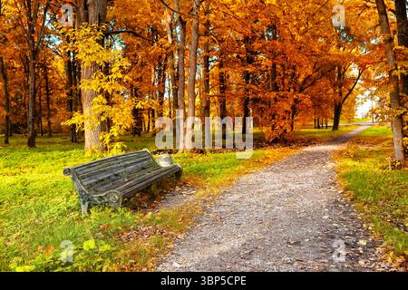 Leere Holzbank im Herbstpark Oktober Herbstlandschaft mit bunten Bäumen mit roten und gelben Blättern. Stockfoto
