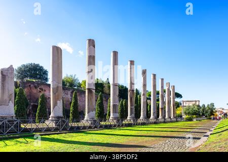 Ruinen des Tempels der Venus und der Roma, Forum Romanum in Rom. Blick auf das Forum Romanum und den Titusbogen vom Tempel der Venus und Roma auf dem Velian Hill in Stockfoto