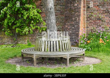 Kreisförmige Holzbank in den Gärten des Hampton Court Palace, Richmond upon Thames, London, England Großbritannien Stockfoto