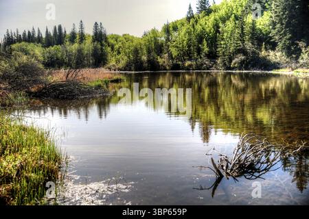 Blick auf die Weaslehead Flats und den Elbow River in Calgary Stockfoto
