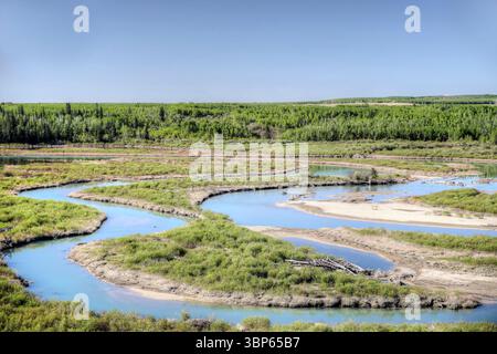 Blick auf die Weaslehead Flats und den Elbow River in Calgary Stockfoto
