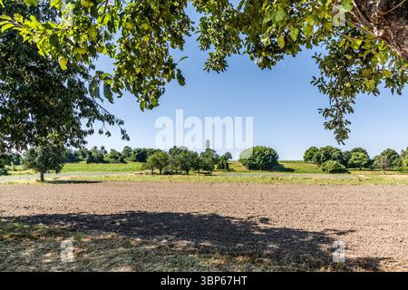 Ein Blick über die landwirtschaftlichen Felder auf der Insel Reichenau, Baden-Württemberg. Im Vordergrund steht ein frisch gepflügtes Feld, eingerahmt von den Ästen eines Apfelbaums mit unreifen Früchten. Dahinter liegen grüne Felder und Bäume und der Aussichtsturm Hohenwart unter klarem blauem Himmel. Rosendornweg, Reichenau, Baden-Württemberg, Deutschland Stockfoto