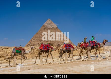 Kamelkarawane vor der Pyramide von hafre Stockfoto