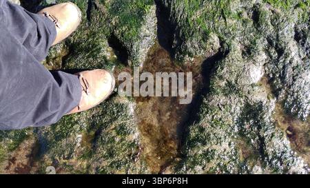 Dinosaurier-Fußabdrücke Staffin Beach, Isle of Skye, Scotlands. Fußabdrücke von Ornithopoden, einer Gruppe pflanzenfressender, zweibeiniger Dinosaurier Stockfoto
