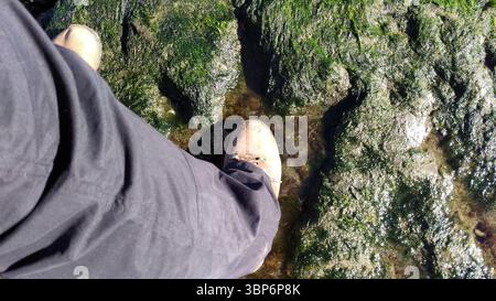 Dinosaurier-Fußabdrücke Staffin Beach, Isle of Skye, Scotlands. Fußabdrücke von Ornithopoden, einer Gruppe pflanzenfressender, zweibeiniger Dinosaurier Stockfoto