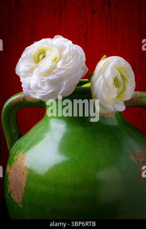Zwei Ranunkelblüten In Grüner Vase Stockfoto