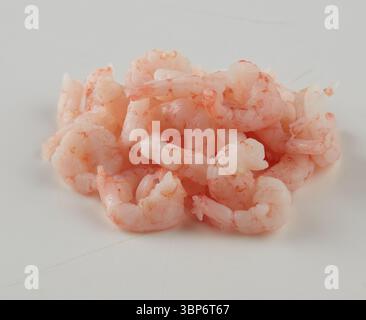 Gefrorene frische Garnelen isolierter Naturhintergrund mit Beschneidungspfad Stockfoto