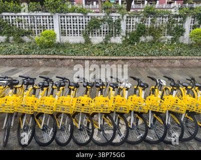 Bike Sharing, China. Gelbe Fahrräder, die im Stadtzentrum geparkt werden können. Stockfoto