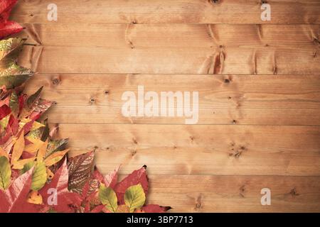 Herbstblätter liegen auf einer flachen Holzplanke mit Kornstruktur und Kopierraum Stockfoto
