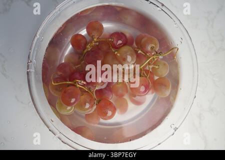 Frische Trauben, die vor dem Servieren in Wasser eingeweicht werden, um sie zu reinigen Stockfoto