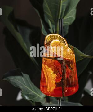 Essen, erfrischender aperol Spritz Cocktail, serviert in einem Stielglas, garniert mit getrockneten Orangenscheiben und schwarzen Strohhalmen Stockfoto