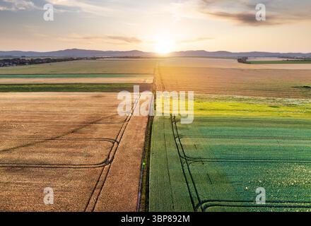 Luftaufnahme von Heuballen bei Sonnenuntergang im Sommer. Draufsicht auf Heustapel. Landwirtschaft. Feld nach der Ernte mit Heurollen. Landschaft mit Ackerland, Stroh Stockfoto