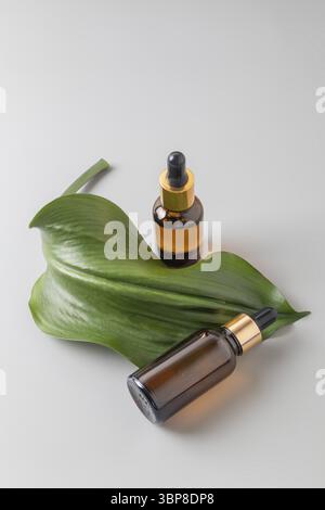 Natürliches ätherisches Öl, Serum in bernsteinfarbenen Glasflaschen auf grauem Hintergrund mit grünen tropischen Blättern. Alternative Medizin, aromatische pflanzliche Schönheit s Stockfoto