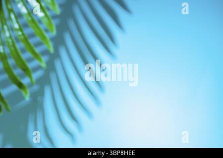 Abstrakter Hintergrund von Schatten Palmblättern auf trendigem neonblauem Hintergrund im Hintergrund. Kreatives Konzept Stockfoto