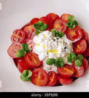 Speisen, lebendiges Gericht mit in Scheiben geschnittenen Kirschtomaten, cremigen Burrata und frischen Basilikumblättern auf einem weißen Teller Stockfoto