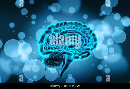 Querschnitt des Gehirns auf abstraktem Hintergrund Stockfoto