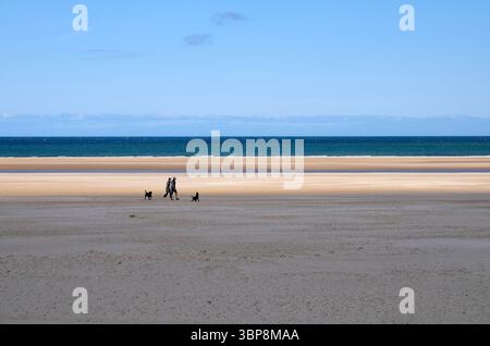 Hund Spaziergänger auf Wells-next-the-Sea Beach, North Norfolk, England Stockfoto