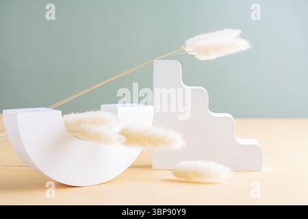 Set aus Gips und Ton geometrischen Formen - Bogen und Leiter auf Doppel-Pastell-Hintergrund. Trendiges Poster für Design oder Schaufenster zur Produktpräsentation Stockfoto
