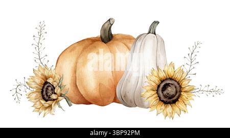 Aquarellabbildung von weißen und orangen Kürbissen mit Stiel- und Kletterpflanzen. Botanische handgezeichnete Kunst für Herbstdekor und Erntegruß Stockfoto