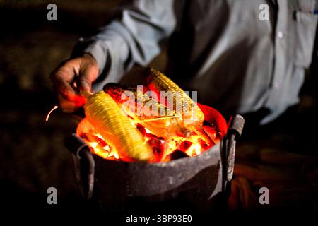 Ein Mann mittleren Alters bereitet Roastmais zu, um ihn nachts am Strand zu verkaufen. Stockfoto