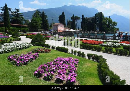 Riva del Garda am Gardasee ist eine italienische Gemeinde - sprich Comune mit 17,857 Einwohnern - Stand 31. Dezember 2023 - in der Provinz Trient, Region Trentino-Südtirol in Italien. Sie ist Verwaltungssitz der Talgemeinschaft Alto Garda e Ledro. Foto: Seeufer des Lago di Garda in Riva *** Riva del Garda am Gardasee ist eine italienische Gemeinde oder Gemeinde mit 17.857 Einwohnern per 31. Dezember 2023 in der Provinz Trient, Trentino Südtirol in Italien Stockfoto