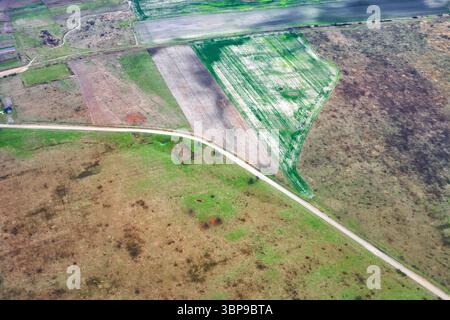 Luftaufnahme der Straße zwischen Herbstfeldern. Oberhalb der Fleckenteppich-Agrarlandschaft mit grüner Wiese, bearbeiteter Erde und gewundenen Landstraßen, Symbol Stockfoto