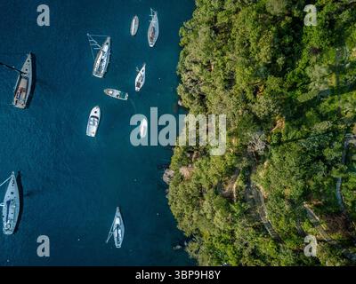 Luftaufnahme der Boote und der Waldküste in Portofino, Italien Stockfoto
