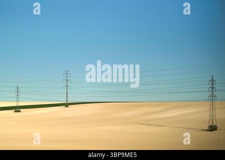 Ausgedehntes Weizenfeld mit Stromleitungen unter klarem blauem Himmel. Stockfoto